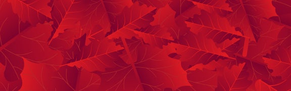 Fall Sale