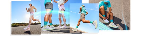 Lacoste Collections
