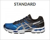 Standard Shoe Type