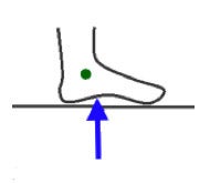 Support Phase Image Exmaple