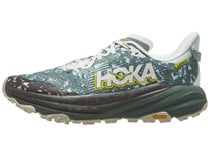 HOKA Speedgoat 6 GTX Herren Laufschuhe Sea Glass/Fern