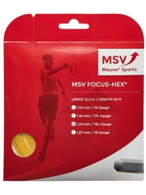 MSV Focus HEX 1.23 String