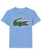 Maglietta Lacoste Croc Bambino Autunno
