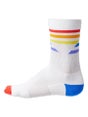 Incylence Pride 2026 V5 Socks