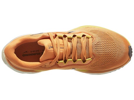 Zapatillas mujer Nike Pegasus 41 Copper Cave Saturn Gold