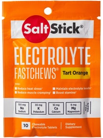 Sachet de 10 pastilles SaltStick FastChews